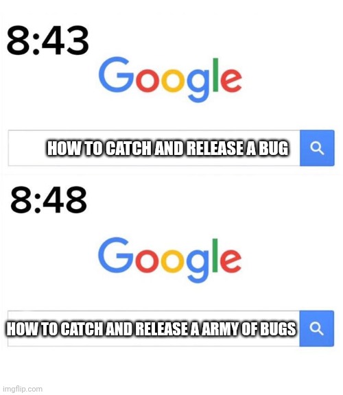 google before after | HOW TO CATCH AND RELEASE A BUG; HOW TO CATCH AND RELEASE A ARMY OF BUGS | image tagged in google before after | made w/ Imgflip meme maker