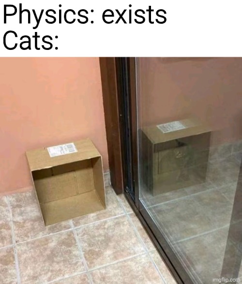Physics: exists

Cats: | image tagged in meme,memes,funny,funny memes,funny meme,cats | made w/ Imgflip meme maker