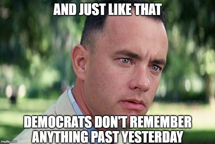 And Just Like That Meme | AND JUST LIKE THAT; DEMOCRATS DON'T REMEMBER ANYTHING PAST YESTERDAY | image tagged in memes,and just like that | made w/ Imgflip meme maker
