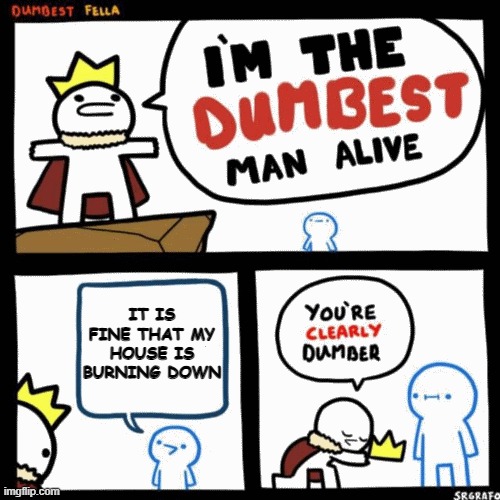 Burning Down | IT IS FINE THAT MY HOUSE IS BURNING DOWN | image tagged in i'm the dumbest man alive,memes,house,fine | made w/ Imgflip meme maker