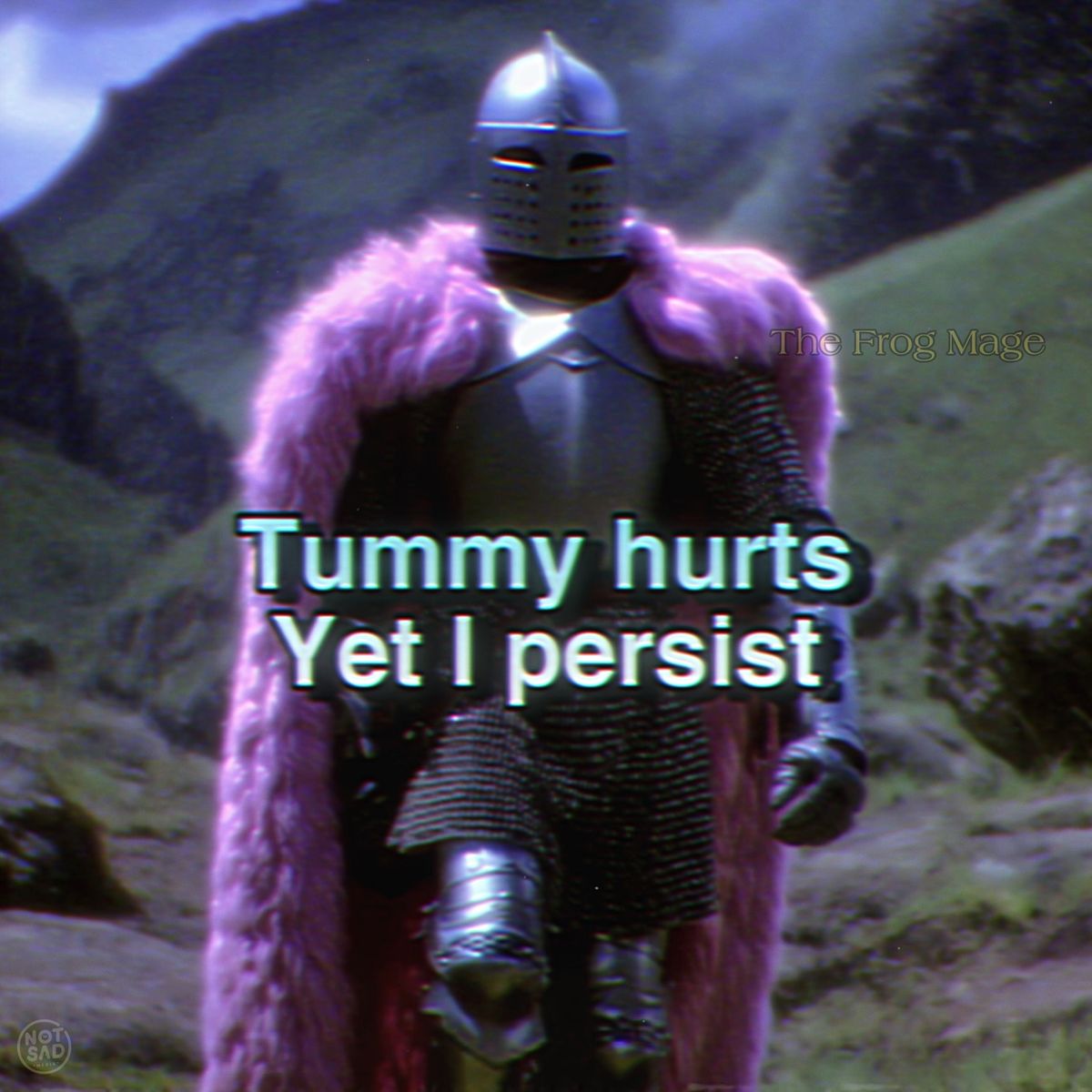 tummy hurts Yet I persist Blank Meme Template