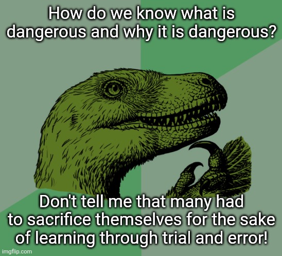 Many had to die do that we could live. | How do we know what is dangerous and why it is dangerous? Don't tell me that many had to sacrifice themselves for the sake of learning through trial and error! | image tagged in error,history,learning,memes | made w/ Imgflip meme maker