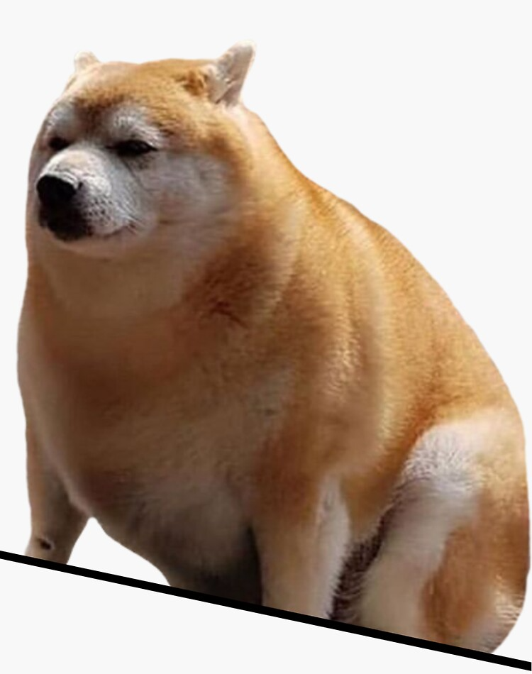 fat cheems Blank Meme Template