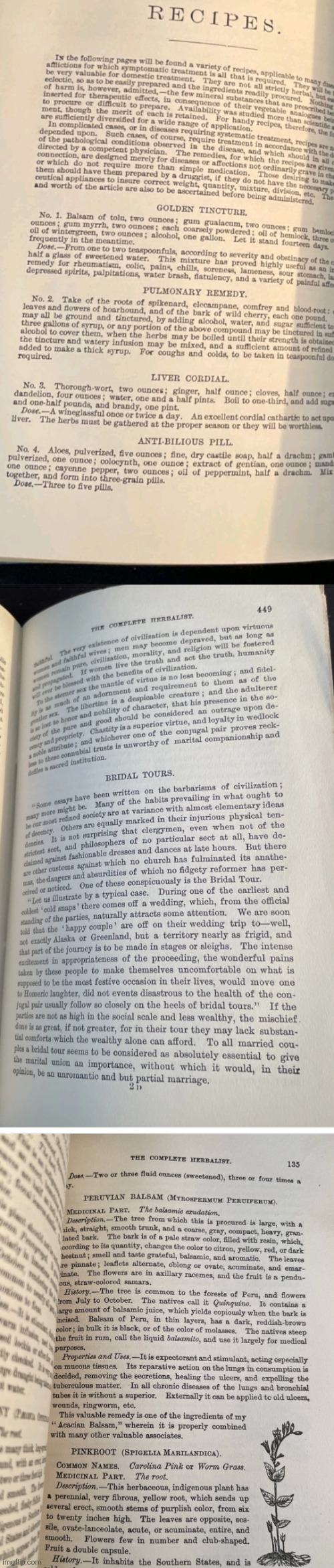 1870s book decodes | image tagged in books | made w/ Imgflip meme maker