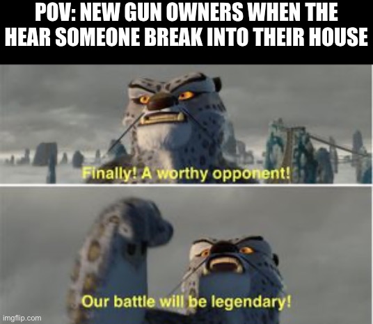 finnaly | POV: NEW GUN OWNERS WHEN THE HEAR SOMEONE BREAK INTO THEIR HOUSE | image tagged in finnaly | made w/ Imgflip meme maker