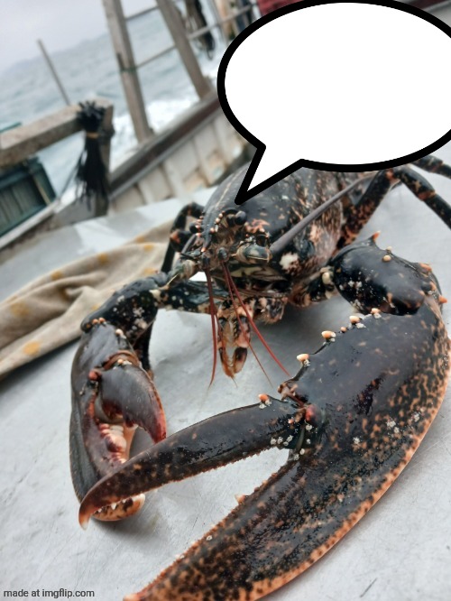 lobter speech bubble Blank Meme Template