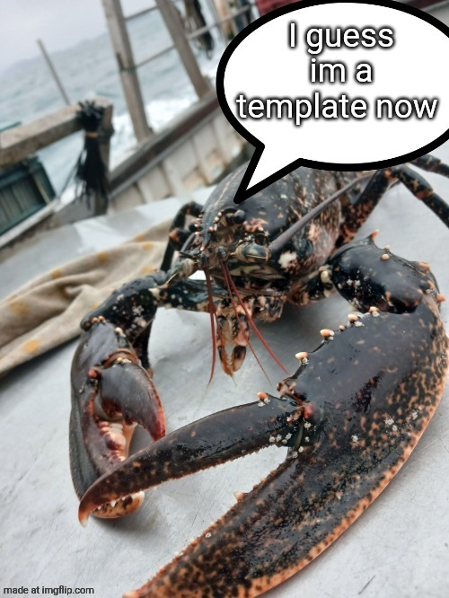 lobter speech bubble | I guess im a template now | image tagged in lobter speech bubble | made w/ Imgflip meme maker
