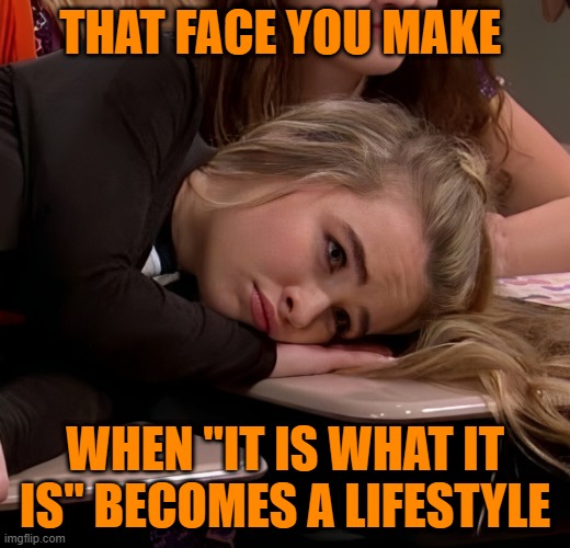 it is what it is | THAT FACE YOU MAKE; WHEN "IT IS WHAT IT IS" BECOMES A LIFESTYLE | image tagged in memes | made w/ Imgflip meme maker