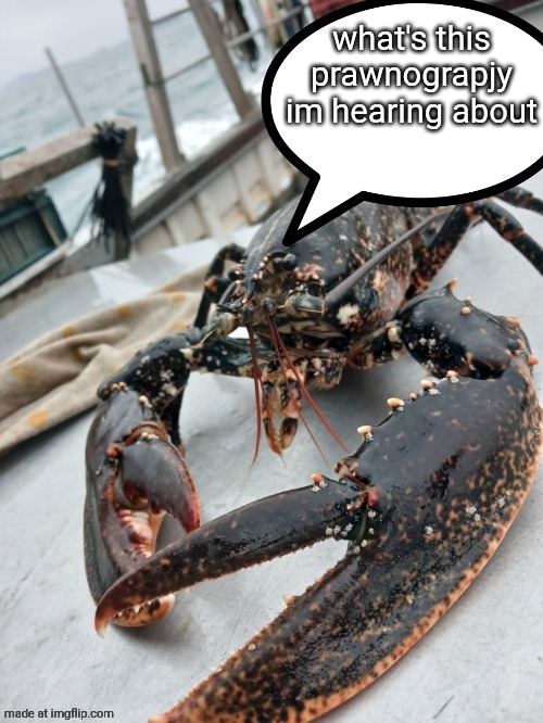 lobter speech bubble | what's this prawnograpjy im hearing about | image tagged in lobter speech bubble | made w/ Imgflip meme maker