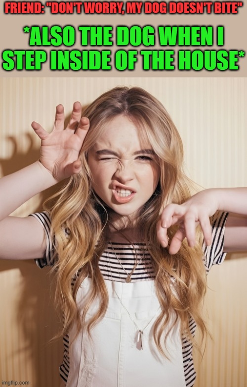 dog | FRIEND: "DON'T WORRY, MY DOG DOESN'T BITE"; *ALSO THE DOG WHEN I STEP INSIDE OF THE HOUSE* | image tagged in sabrina carpenter,memes,funny,dog,funny memes,relatable memes | made w/ Imgflip meme maker