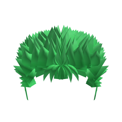 Zoro's Hair Blank Meme Template