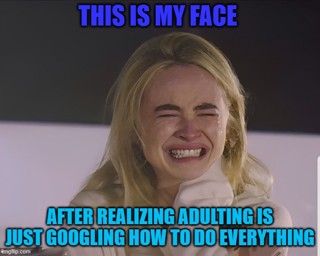 adulting | THIS IS MY FACE; AFTER REALIZING ADULTING IS JUST GOOGLING HOW TO DO EVERYTHING | image tagged in memes | made w/ Imgflip meme maker