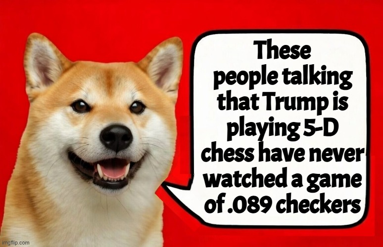 Facts about the people that still Idolize, worship, are loyal to Trump instead of the country itself | These people talking that Trump is playing 5-D chess have never watched a game of .089 checkers | image tagged in trump,america first,maga,israel,iran,ww3 | made w/ Imgflip meme maker