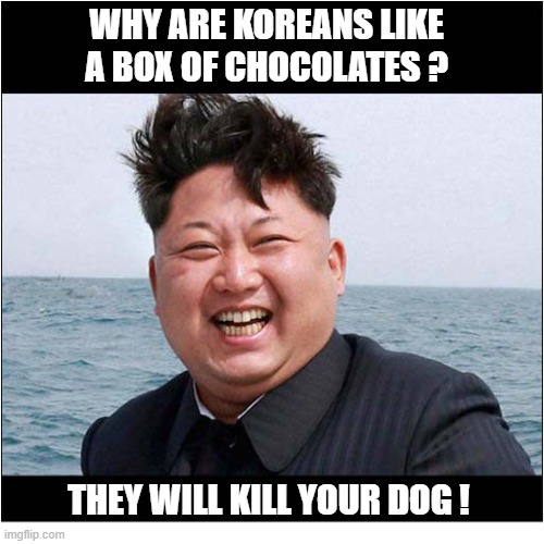 You Have Been Warned ! | WHY ARE KOREANS LIKE A BOX OF CHOCOLATES ? THEY WILL KILL YOUR DOG ! | image tagged in warning,korean,chocolate,death,dogs | made w/ Imgflip meme maker