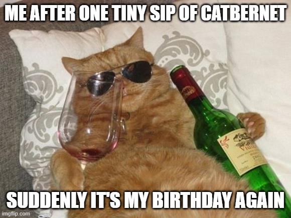 Funny Cat Birthday | ME AFTER ONE TINY SIP OF CATBERNET; SUDDENLY IT'S MY BIRTHDAY AGAIN | image tagged in funny cat birthday | made w/ Imgflip meme maker