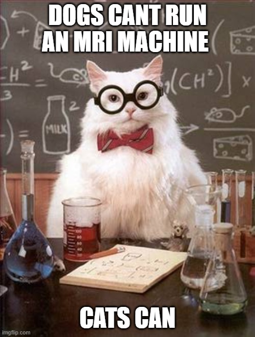 Science Cat Good Day | DOGS CANT RUN AN MRI MACHINE; CATS CAN | image tagged in science cat good day | made w/ Imgflip meme maker
