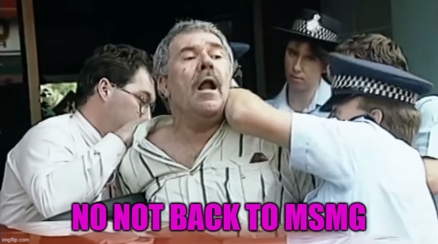 not back to msmg | NO NOT BACK TO MSMG | made w/ Imgflip meme maker