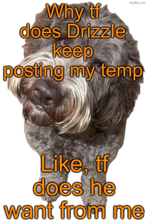 Northers Dog (Transparent) | Why tf does DrizzIe keep posting my temp; Like, tf does he want from me | image tagged in northers dog transparent | made w/ Imgflip meme maker