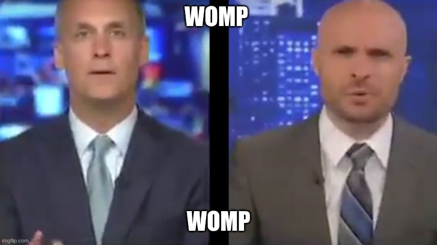 WOMP WOMP | WOMP WOMP | image tagged in womp womp | made w/ Imgflip meme maker
