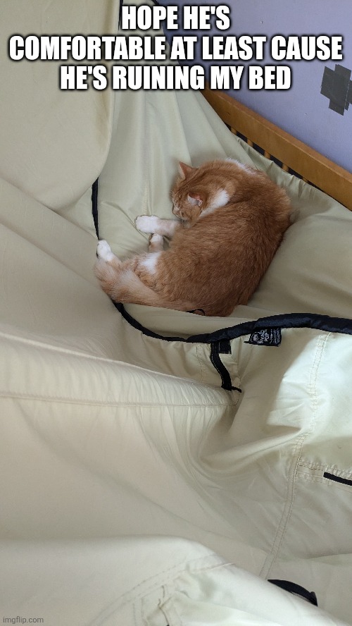 I don't know why you do this wouldn't it be better inside. | HOPE HE'S COMFORTABLE AT LEAST CAUSE HE'S RUINING MY BED | image tagged in cat on tent,garfield | made w/ Imgflip meme maker