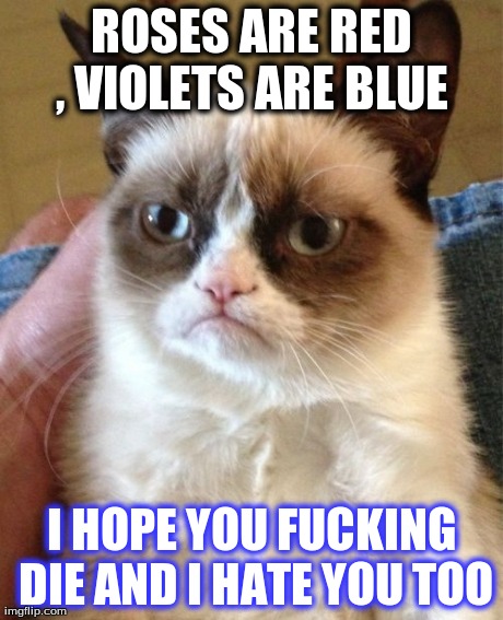 Grumpy Cat Meme | ROSES ARE RED , VIOLETS ARE BLUE  I HOPE YOU F**KING DIE AND I HATE YOU TOO | image tagged in memes,grumpy cat | made w/ Imgflip meme maker