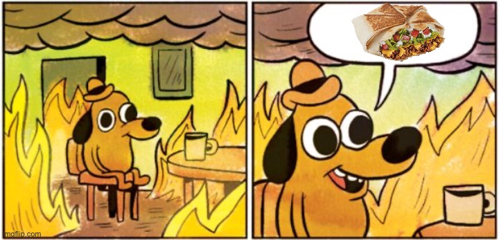 Things are fine with a crunchwrap | image tagged in burning dog | made w/ Imgflip meme maker