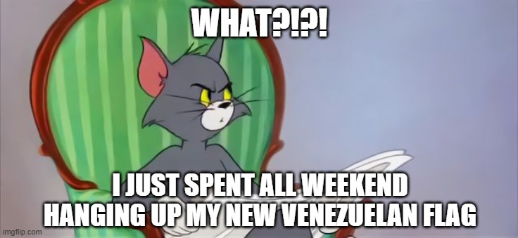 Tom Cat Reading a newspaper | WHAT?!?! I JUST SPENT ALL WEEKEND HANGING UP MY NEW VENEZUELAN FLAG | image tagged in tom cat reading a newspaper | made w/ Imgflip meme maker