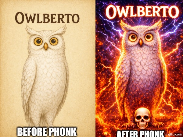Phonk VS No phonk | BEFORE PHONK; AFTER PHONK | image tagged in owl,epic,music,gen alpha,stupid | made w/ Imgflip meme maker