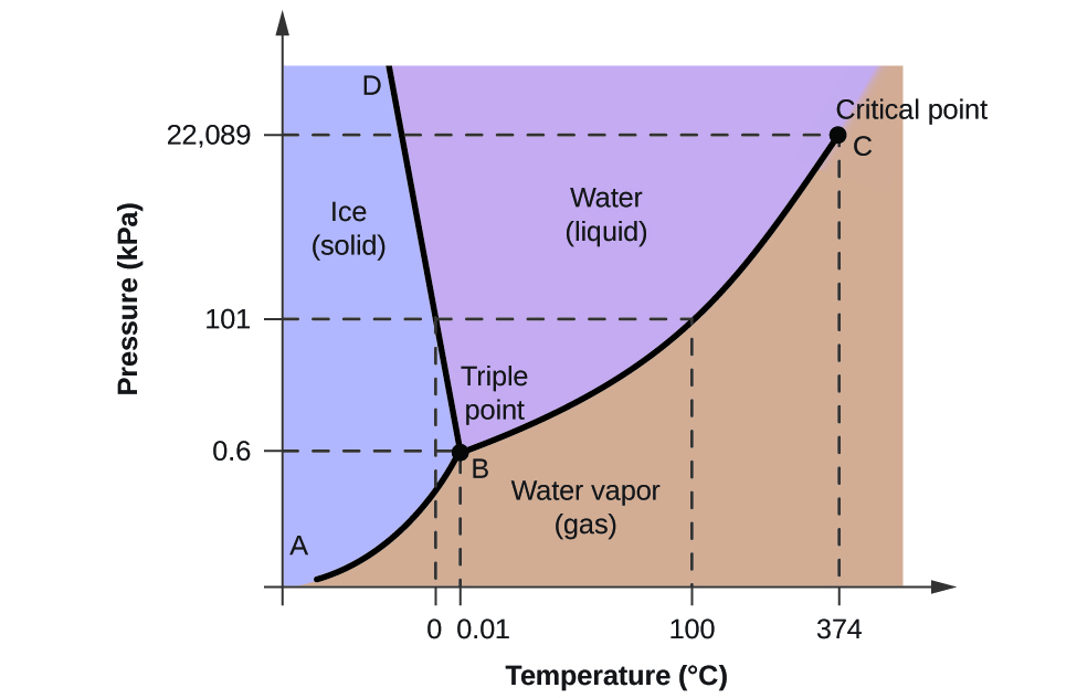 PT Phase Diagram for Water Blank Meme Template