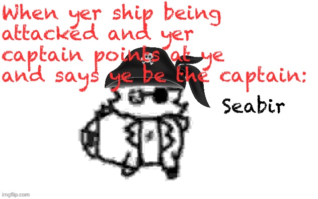 Ducc's loaf temp (v3) | When yer ship being attacked and yer captain points at ye and says ye be the captain:; Seabir | image tagged in ducc's loaf temp v3 | made w/ Imgflip meme maker