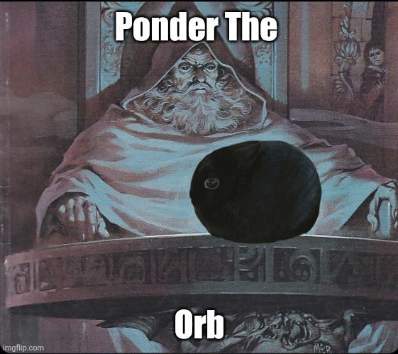 pondering my orb | Ponder The; Orb | image tagged in pondering my orb,memes,animal meme,funny,lol,humor | made w/ Imgflip meme maker