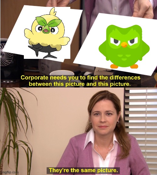Knock of rowlett is also knock off angry bird and Duolingo. | image tagged in memes,they're the same picture | made w/ Imgflip meme maker