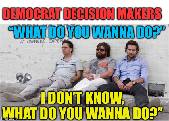 Worthless Democrats | DEMOCRAT DECISION MAKERS; “WHAT DO YOU WANNA DO?”; I DON’T KNOW, WHAT DO YOU WANNA DO?” | image tagged in gifs,democrats,democratic socialism,incompetence,worthless | made w/ Imgflip meme maker