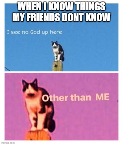the human book | WHEN I KNOW THINGS MY FRIENDS DONT KNOW | image tagged in i see no god up here except me | made w/ Imgflip meme maker