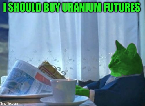 I Should Buy a Boat RayCat | I SHOULD BUY URANIUM FUTURES | image tagged in i should buy a boat raycat | made w/ Imgflip meme maker