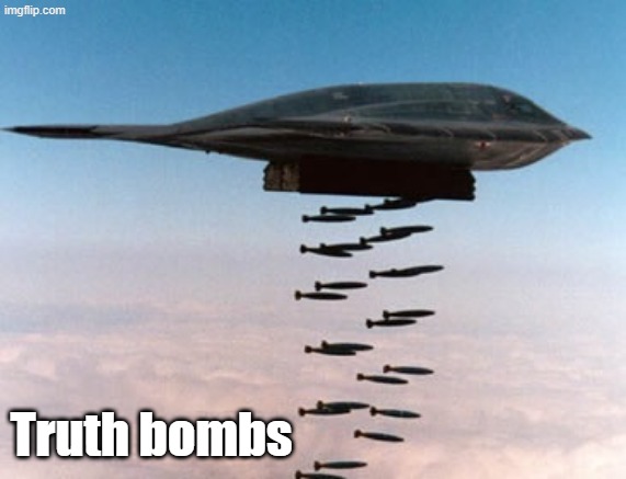 stealth bomber | Truth bombs | image tagged in stealth bomber | made w/ Imgflip meme maker