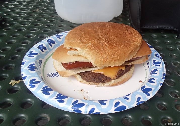 Hotdog Burger | image tagged in hotdog burger | made w/ Imgflip meme maker