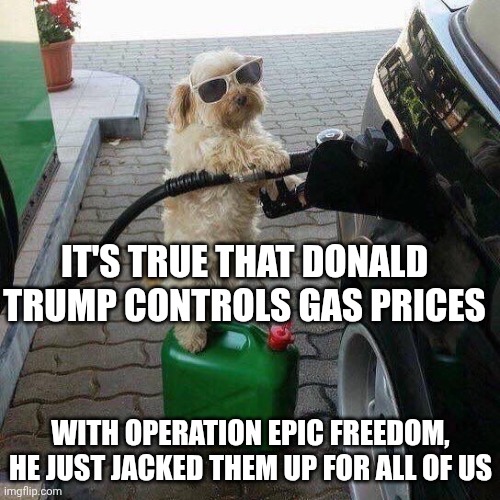 I can't give you the promised lower gas prices, but I can give you a look at this awesome dog! | IT'S TRUE THAT DONALD TRUMP CONTROLS GAS PRICES; WITH OPERATION EPIC FREEDOM, HE JUST JACKED THEM UP FOR ALL OF US | image tagged in gas station attendant,donald trump,iran,gas prices,maga | made w/ Imgflip meme maker