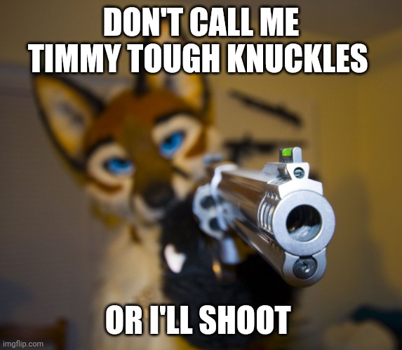 No eyebag emoji spam allowed or I'll kill you | DON'T CALL ME TIMMY TOUGH KNUCKLES; OR I'LL SHOOT | image tagged in furry with gun,anti-eyebag | made w/ Imgflip meme maker