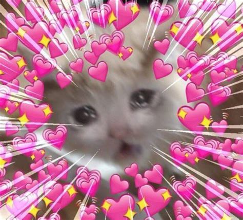 Cat heart emojis adorable Blank Meme Template