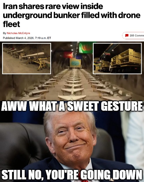 AWW WHAT A SWEET GESTURE; STILL NO, YOU'RE GOING DOWN | image tagged in donald trump,iran,politics,funny | made w/ Imgflip meme maker