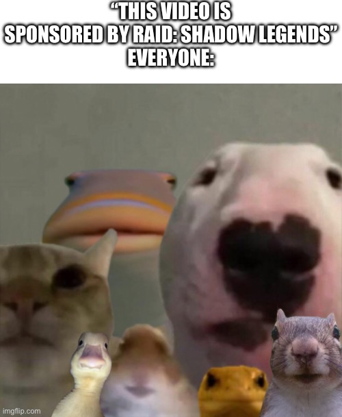 Annoying everyone with a sponsor | “THIS VIDEO IS SPONSORED BY RAID: SHADOW LEGENDS”
EVERYONE: | image tagged in the council remastered,raid shadow legends,sponsor,youtube | made w/ Imgflip meme maker