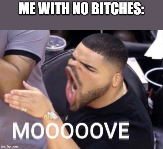 Mooooove | ME WITH NO BITCHES: | image tagged in mooooove | made w/ Imgflip meme maker