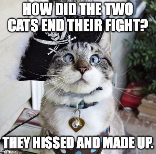 Dad-joke Cat! | HOW DID THE TWO CATS END THEIR FIGHT? THEY HISSED AND MADE UP. | image tagged in spangles,pirate,dad joke,dad jokes,cats | made w/ Imgflip meme maker