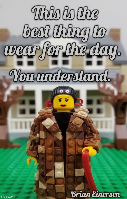 Meme Gardens | This is the best thing to wear for the day. You understand. Brian Einersen | image tagged in fashion kartoon,grey gardens,little edie,edith bouvier beale,lego art,brian einersen | made w/ Imgflip meme maker