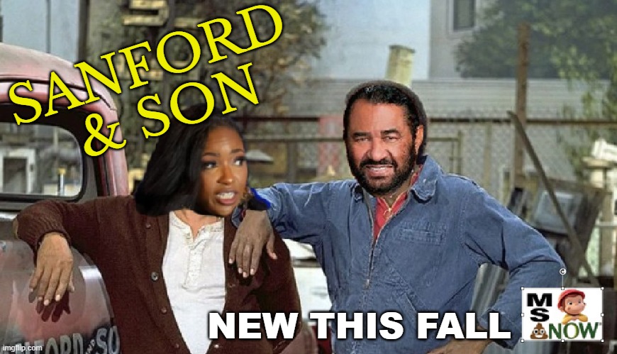 They're not gone, just shifting jobs | SANFORD
 & SON; NEW THIS FALL | image tagged in democrats,election,texas,conservatives | made w/ Imgflip meme maker