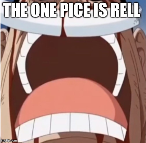 One piece is real | THE ONE PICE IS RELL | image tagged in one piece is real | made w/ Imgflip meme maker
