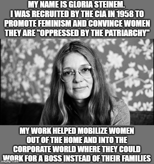 Why work for a family that loves you when you can pay taxes to a government that hates you? | MY NAME IS GLORIA STEINEM. 
I WAS RECRUITED BY THE CIA IN 1958 TO PROMOTE FEMINISM AND CONVINCE WOMEN THEY ARE "OPPRESSED BY THE PATRIARCHY"; MY WORK HELPED MOBILIZE WOMEN OUT OF THE HOME AND INTO THE CORPORATE WORLD WHERE THEY COULD WORK FOR A BOSS INSTEAD OF THEIR FAMILIES | image tagged in history memes,gloria steinem,political meme,history,feminist,leftist hypocrisy | made w/ Imgflip meme maker