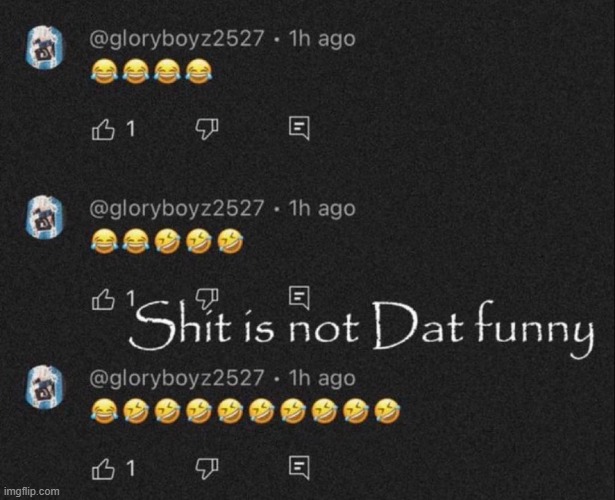 shit is not dat funny | image tagged in shit is not dat funny | made w/ Imgflip meme maker