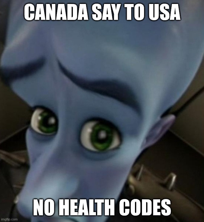 No health codes | CANADA SAY TO USA; NO HEALTH CODES | image tagged in megamind no bitches | made w/ Imgflip meme maker
